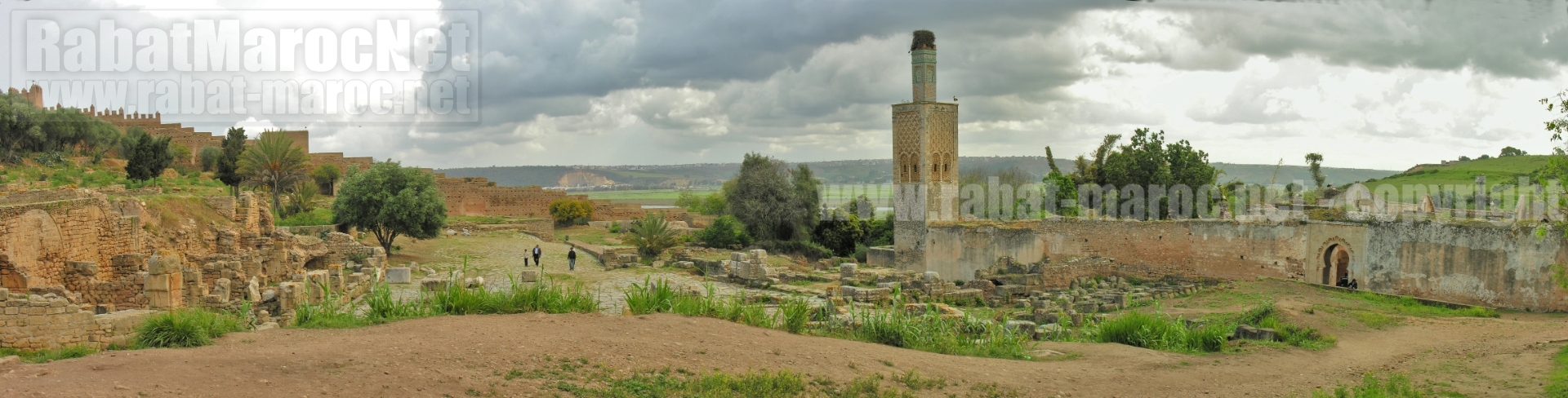 2008 chellah ruines romaines et medersa