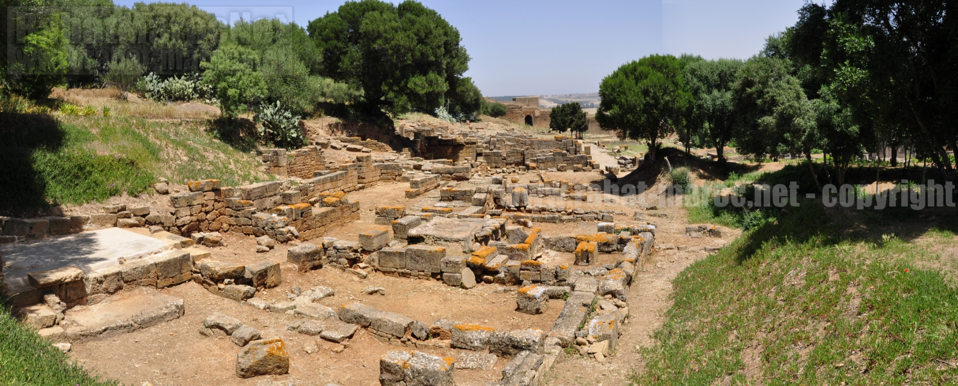 Panorama ruines romaines chellah