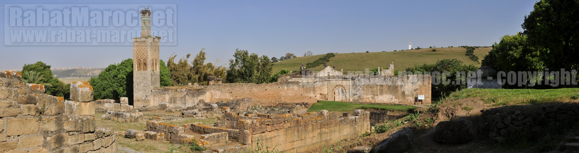 chellah ruines romaines 1er plan