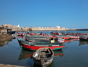 el jadida barques pecheurs