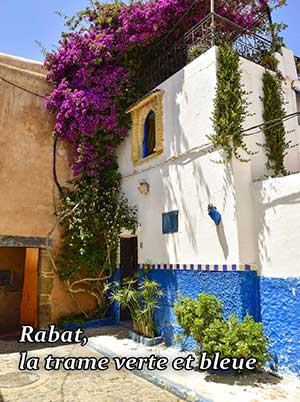 Maison traditionnelle marocaine avec des murs blancs, des accents bleus et une végétation luxuriante.