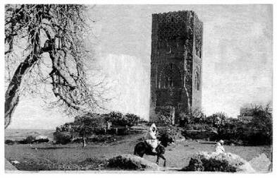 tour hassan avec cavalier