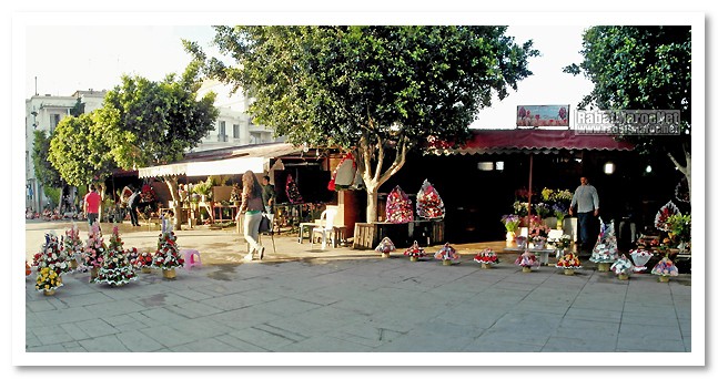 cthedrale place golan32