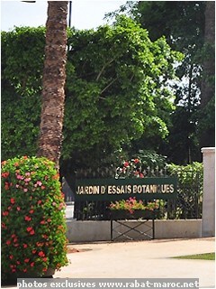 jardin dessais