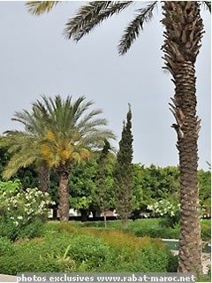 jardin dessais
